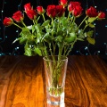 Vaso porta fiori per rose modello Fusion RCR
