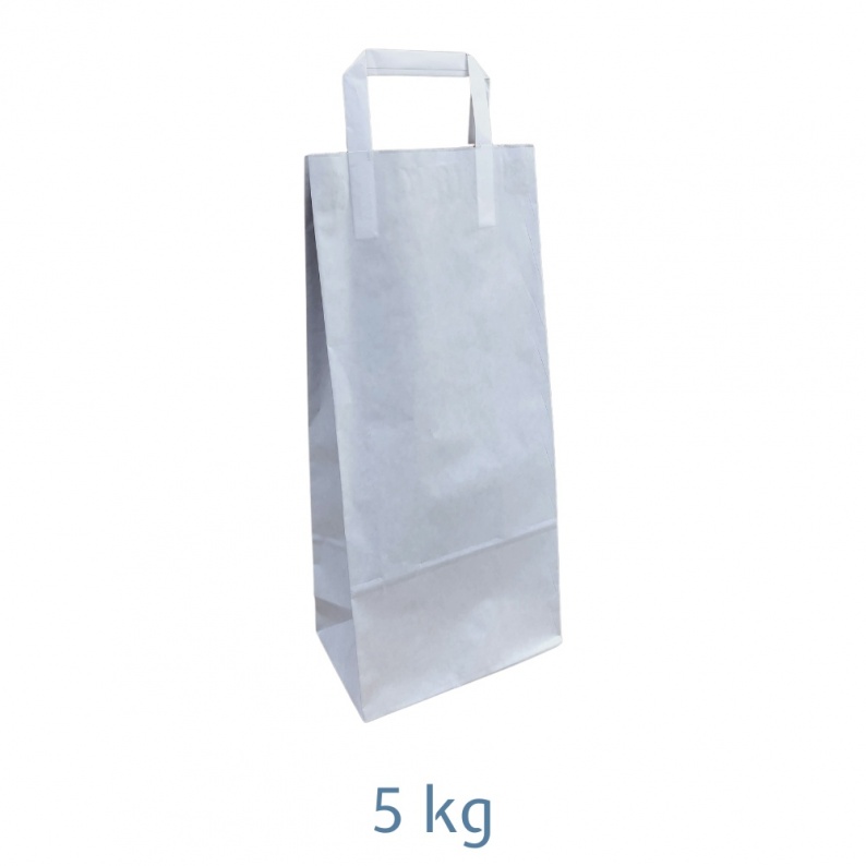 FIGEVIDA Sacco Carta H29 Compatibile Con Candy 09178369 – Adatto Per Lucidatrice F3870 - 2