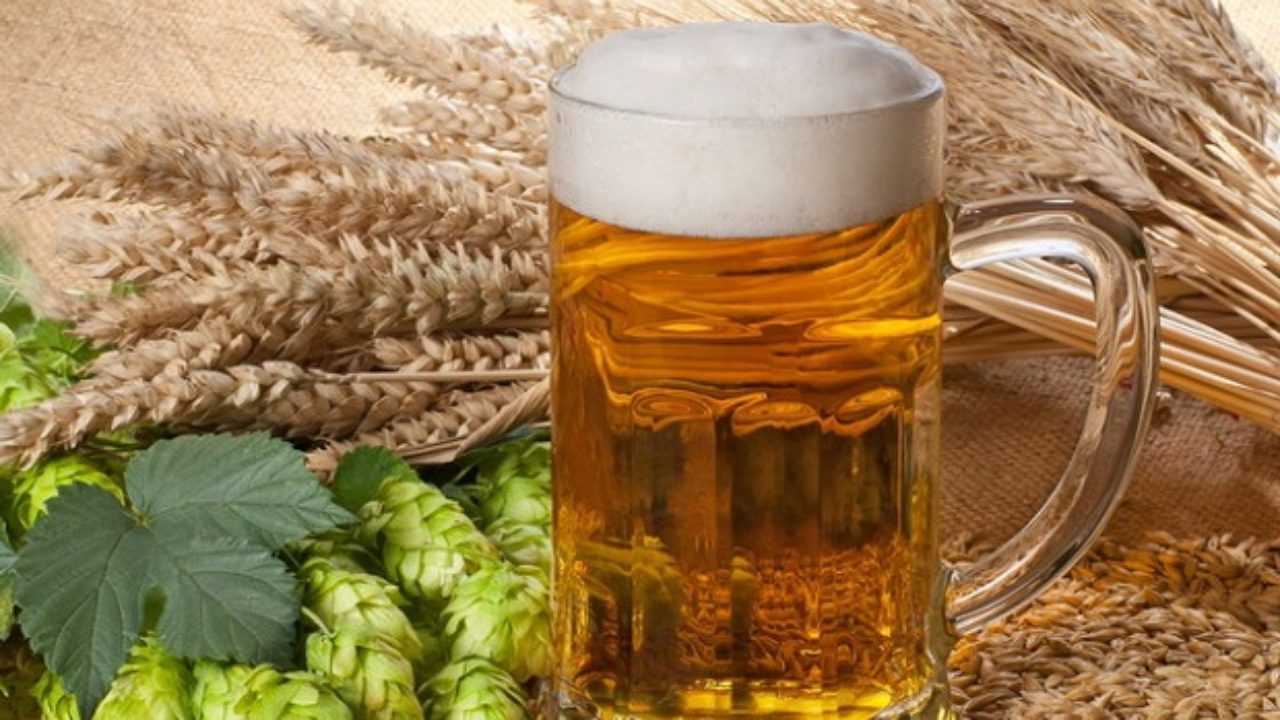 Birra fatta in casa Birra fatta in casa