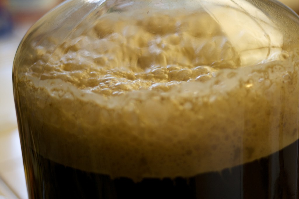 Fermentazione della birra fatta in casa Fermentazione della birra