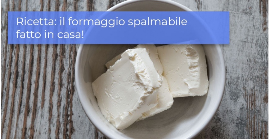 Come fare il formaggio spalmabile con il latte? Una ricetta semplice
