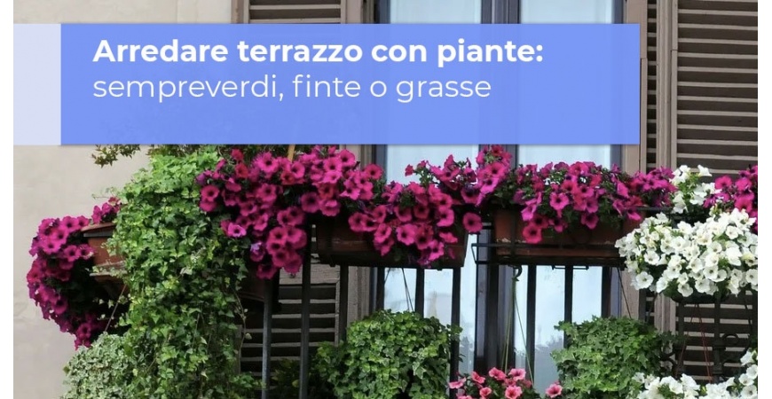 Arredare terrazzo con piante, sempreverdi, finte o grasse