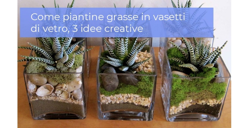 Piantine grasse in vasetti di vetro, 3 idee creative