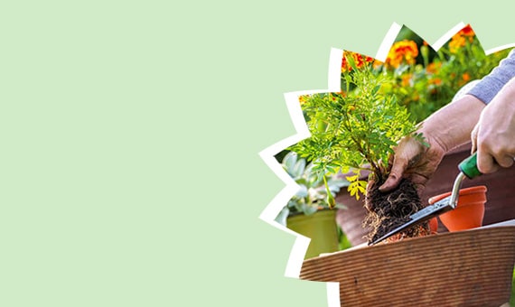 Attrezzatura per il giardinaggio e articoli di arredamento esterno